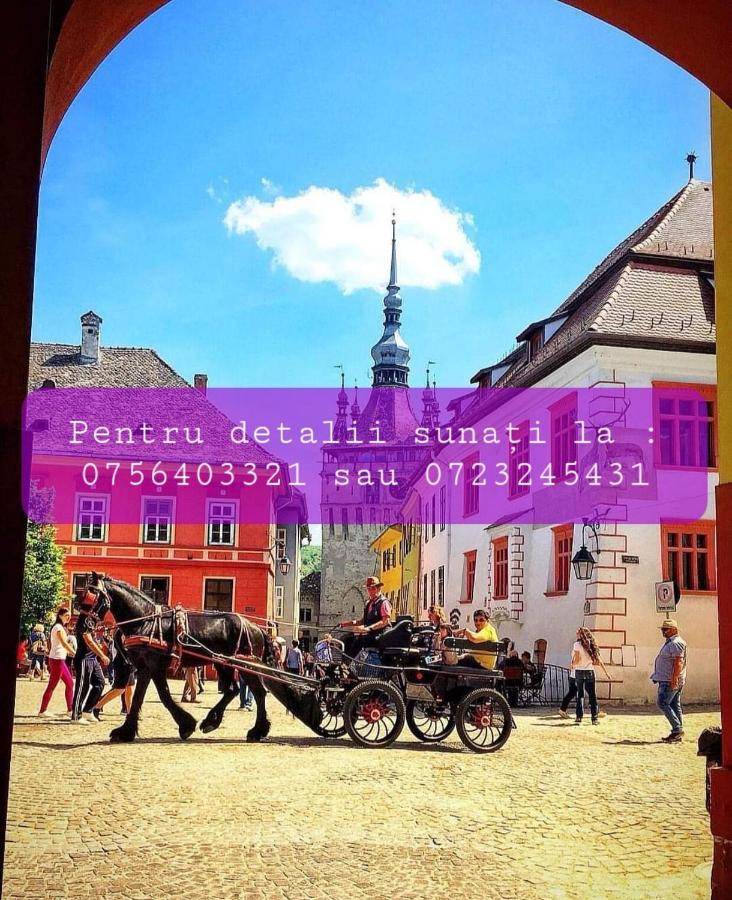 Pdn Apartment Sighişoara Exteriér fotografie